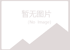 临夏盼山工程有限公司